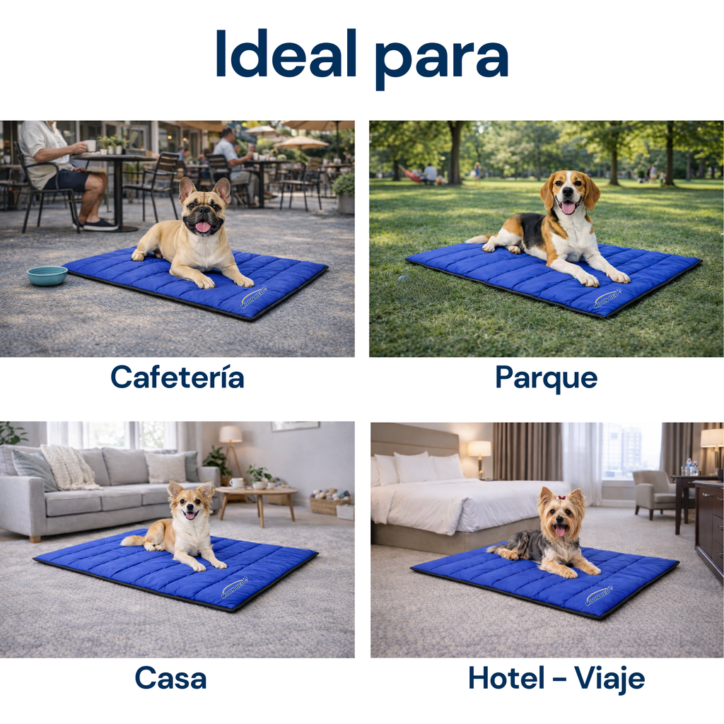 Tapete Acolchado Pequeño Para Mascotas Portátil Cama Ligera