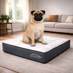 Cama Colchón Pequeña Moon Bed Para Gatos Y Perros 70x50cm